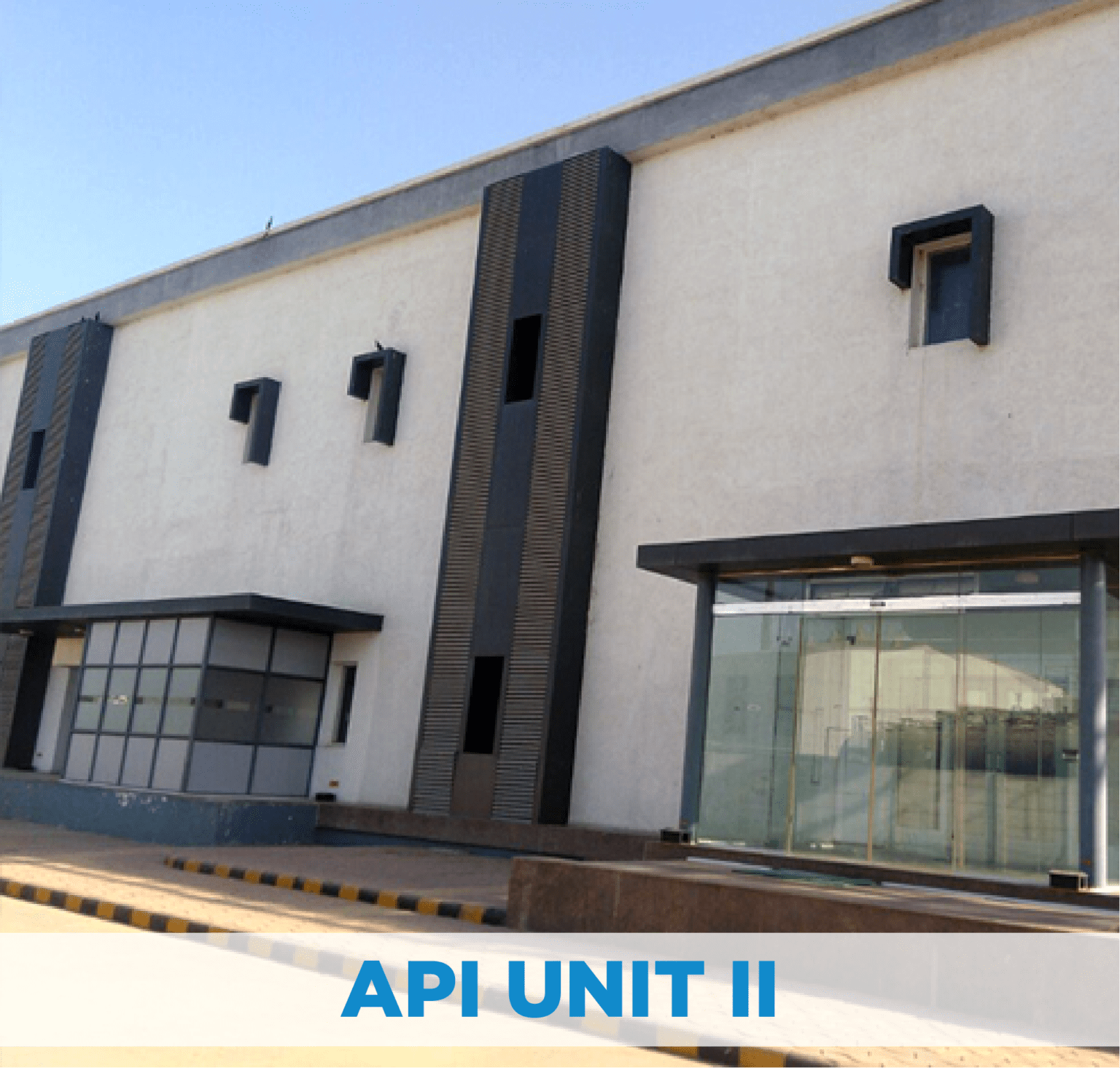 Manu Api State-of-the-Art Pharma Manufacturing Units at Shamrock Pharmachemi
